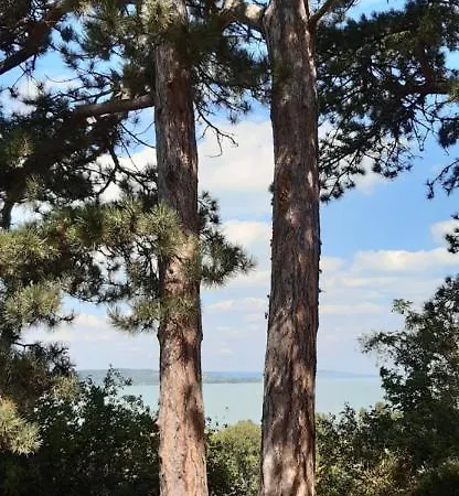 Rita Appartamento Siófok