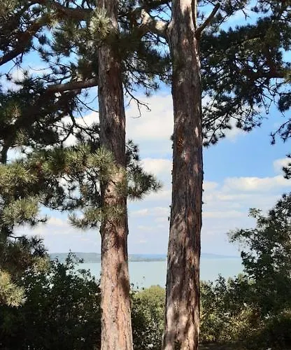 Rita Apartment Siófok